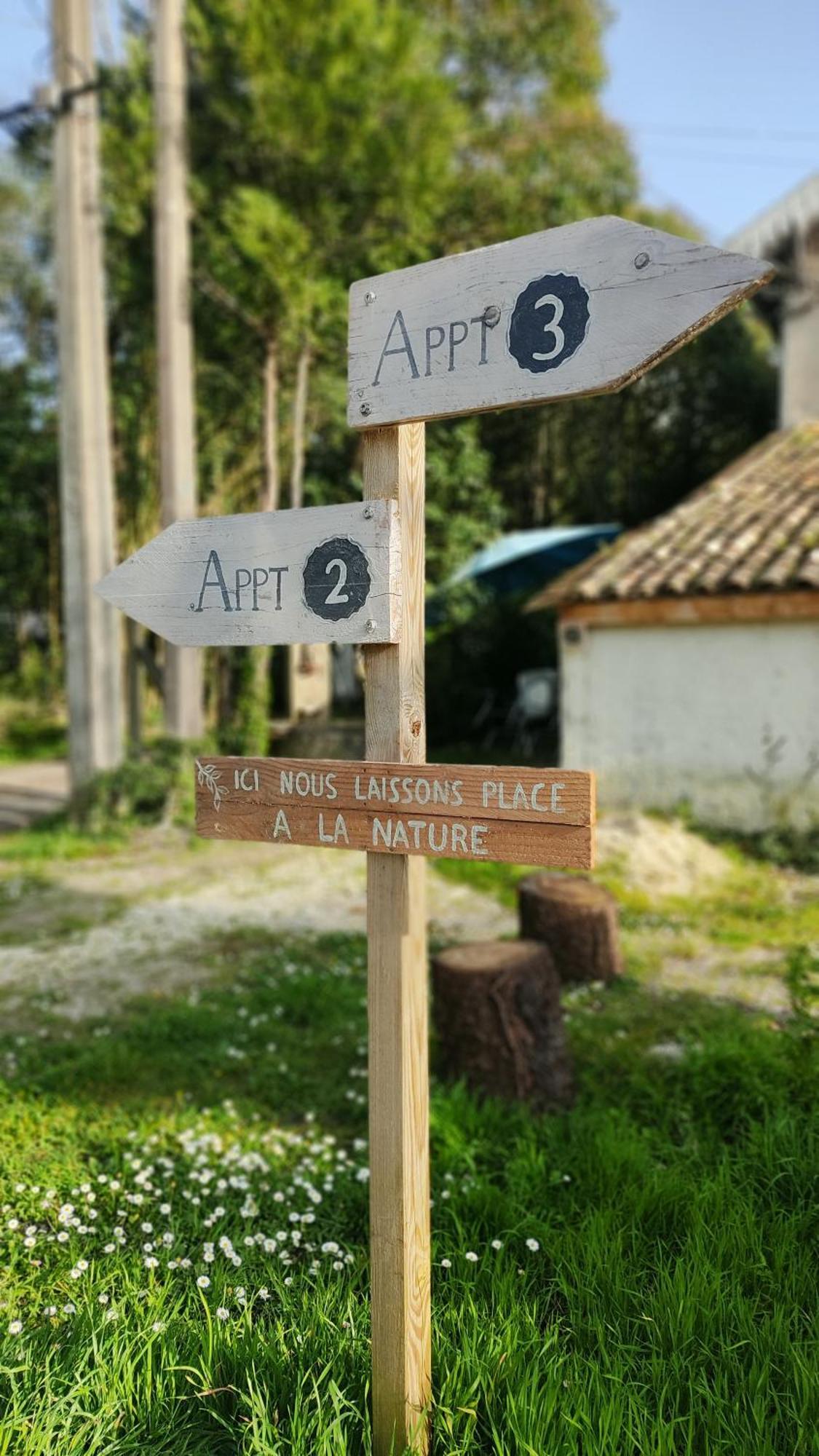 Studio Et Jardin Au Coeur Des Vignes - 1 A 4 Pers - Barsac  Exteriör bild